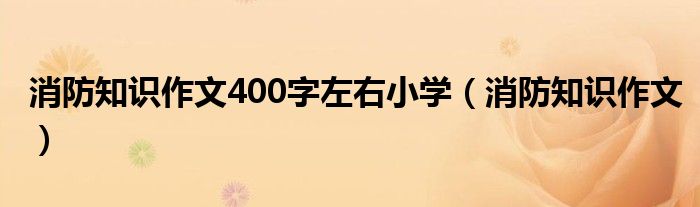 消防知識(shí)作文400字左右小學(xué)（消防知識(shí)作文）