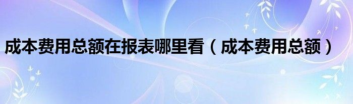 成本費(fèi)用總額在報(bào)表哪里看（成本費(fèi)用總額）