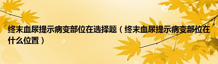終末血尿提示病變部位在選擇題（終末血尿提示病變部位在什么位置）