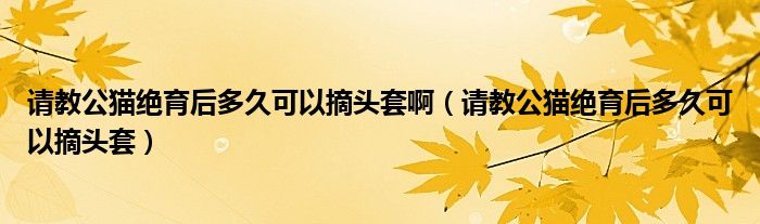 請教公貓絕育后多久可以摘頭套啊（請教公貓絕育后多久可以摘頭套）