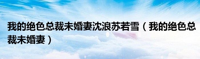 我的絕色總裁未婚妻沈浪蘇若雪（我的絕色總裁未婚妻）