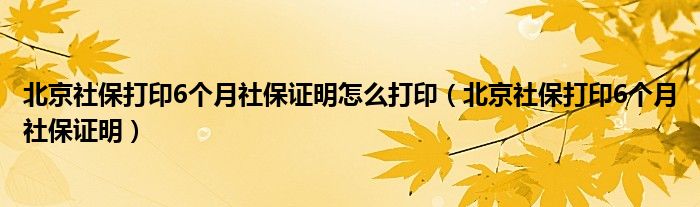 北京社保打印6個月社保證明怎么打?。ū本┥绫４蛴?個月社保證明）