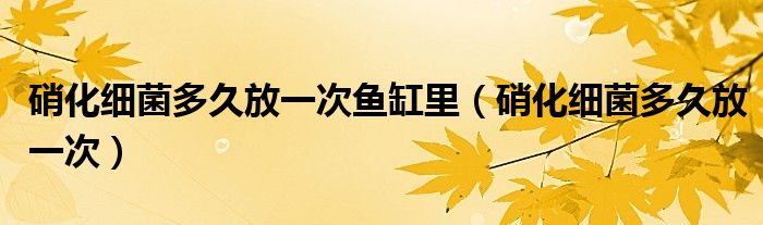 硝化細(xì)菌多久放一次魚缸里（硝化細(xì)菌多久放一次）