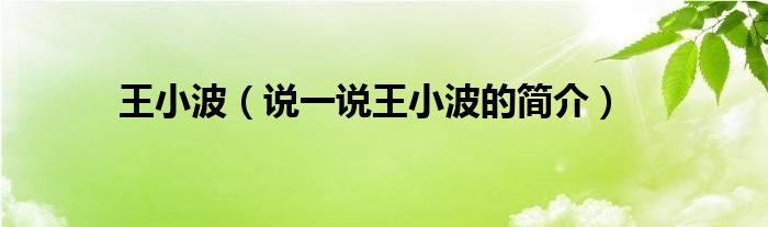 王小波（說一說王小波的簡介）