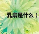 乳扇是什么（說一說乳扇是什么的簡(jiǎn)介）