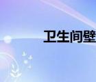 衛(wèi)生間壁龕（壁龕是什么意思）