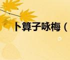 卜算子詠梅（說一說卜算子詠梅的簡介）