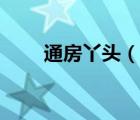 通房丫頭（說一說通房丫頭的簡介）