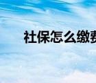 社保怎么繳費(fèi)最劃算（社保怎么繳費(fèi)）