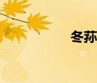 冬蓀圖片（冬筍圖片）