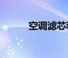 空調(diào)濾芯和空氣濾芯多久換一次