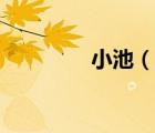 小池（說(shuō)一說(shuō)小池的簡(jiǎn)介）