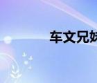 車文兄妹play（兄妹play文）