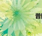 普陀區(qū)教育局官網(wǎng)