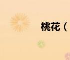 桃花（說一說桃花的簡介）
