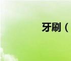 牙刷（說一說牙刷的簡介）