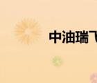 中油瑞飛 安全帽（中油瑞飛）