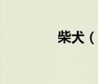 柴犬（說(shuō)一說(shuō)柴犬的簡(jiǎn)介）