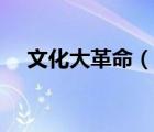 文化大革命（說(shuō)一說(shuō)文化大革命的簡(jiǎn)介）