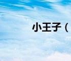 小王子（說一說小王子的簡介）