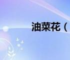 油菜花（說一說油菜花的簡介）