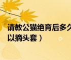請(qǐng)教公貓絕育后多久可以摘頭套?。ㄕ?qǐng)教公貓絕育后多久可以摘頭套）
