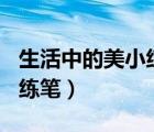 生活中的美小練筆100字左右（生活中的美小練筆）