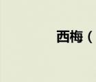 西梅（說一說西梅的簡介）