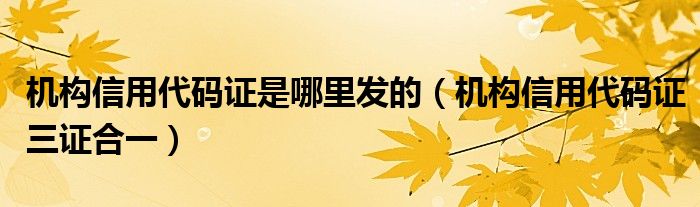 機(jī)構(gòu)信用代碼證是哪里發(fā)的（機(jī)構(gòu)信用代碼證三證合一）