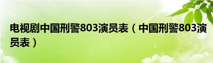 電視劇中國刑警803演員表（中國刑警803演員表）