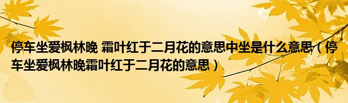 停車坐愛楓林晚 霜葉紅于二月花的意思中坐是什么意思（停車坐愛楓林晚霜葉紅于二月花的意思）