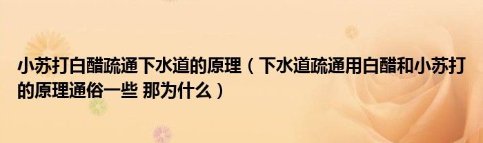 小蘇打白醋疏通下水道的原理（下水道疏通用白醋和小蘇打的原理通俗一些 那為什么）