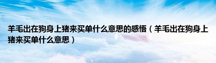 羊毛出在狗身上豬來買單什么意思的感悟（羊毛出在狗身上豬來買單什么意思）