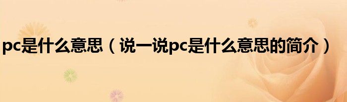 pc是什么意思（說一說pc是什么意思的簡介）