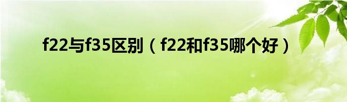 f22與f35區(qū)別（f22和f35哪個好）
