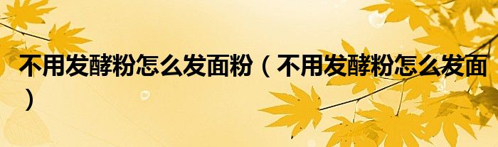 不用發(fā)酵粉怎么發(fā)面粉（不用發(fā)酵粉怎么發(fā)面）
