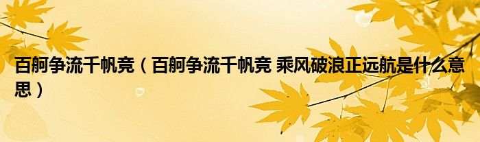 百舸爭流千帆競（百舸爭流千帆競 乘風(fēng)破浪正遠航是什么意思）
