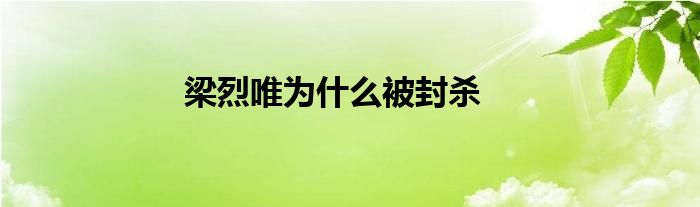 梁烈唯為什么被封殺