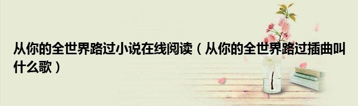 從你的全世界路過小說在線閱讀（從你的全世界路過插曲叫什么歌）