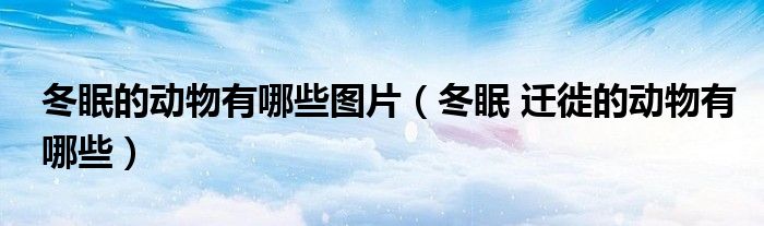 冬眠的動物有哪些圖片（冬眠 遷徙的動物有哪些）