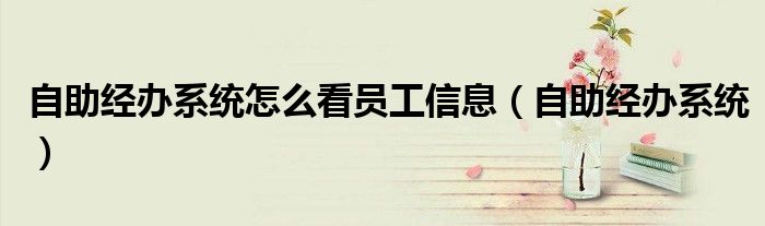 自助經(jīng)辦系統(tǒng)怎么看員工信息（自助經(jīng)辦系統(tǒng)）