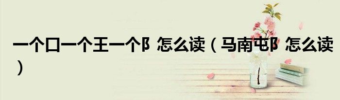 一個口一個王一個阝怎么讀（馬南屯阝怎么讀）