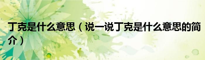 丁克是什么意思（說一說丁克是什么意思的簡(jiǎn)介）