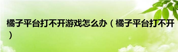 橘子平臺打不開游戲怎么辦（橘子平臺打不開）