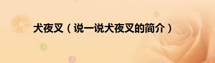 犬夜叉（說一說犬夜叉的簡介）