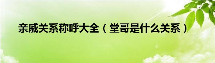 親戚關(guān)系稱呼大全（堂哥是什么關(guān)系）
