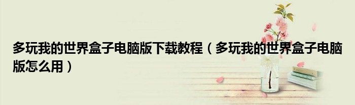 多玩我的世界盒子電腦版下載教程（多玩我的世界盒子電腦版怎么用）