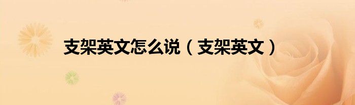 支架英文怎么說(shuō)（支架英文）