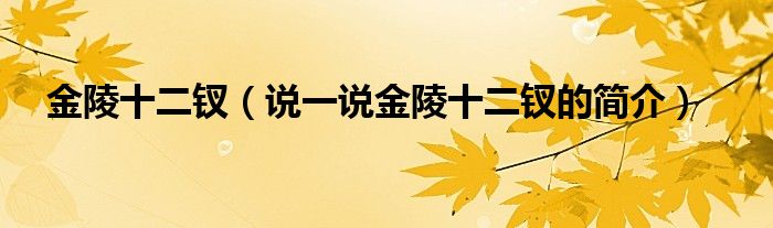 金陵十二釵（說一說金陵十二釵的簡(jiǎn)介）