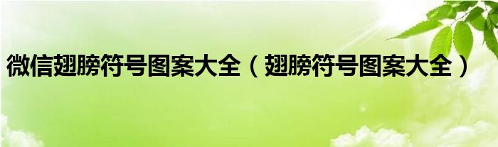 微信翅膀符號圖案大全（翅膀符號圖案大全）